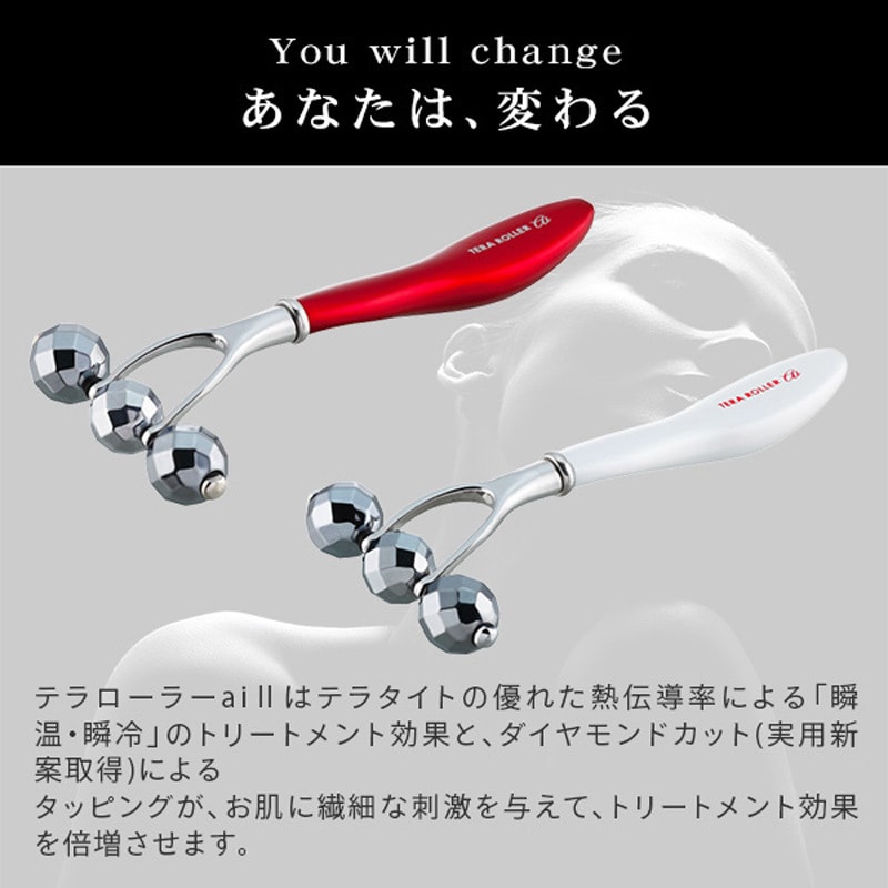 テラローラーai II スプレンダーISO 美顔器/フェイススチーマー 【通販