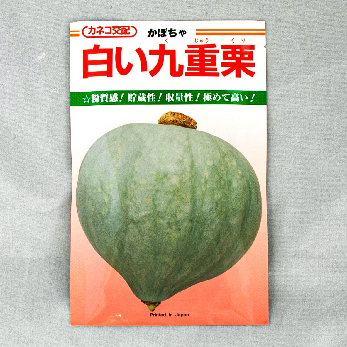 白い九重栗 カボチャ カネコ種苗 1セット 100粒 5袋 通販モノタロウ