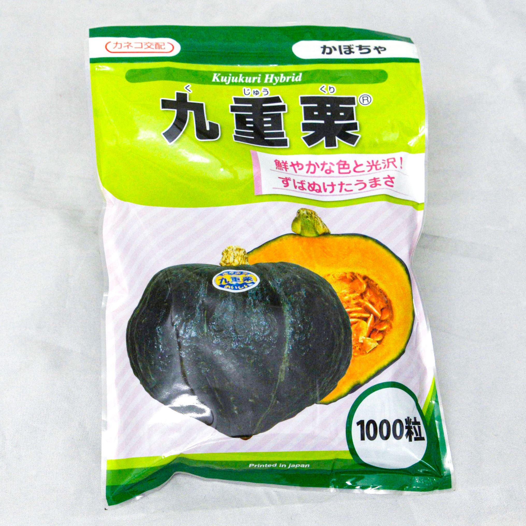 かぼちゃ☆ 九重栗 (カボチャ) 1個(1000粒) カネコ種苗 【通販モノタロウ】