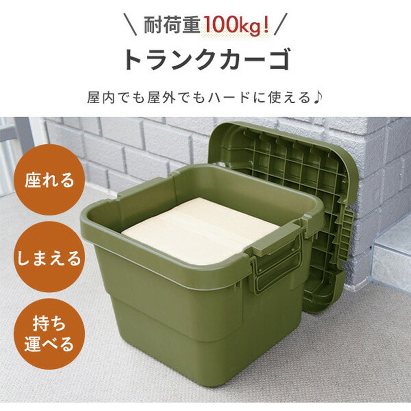 トランクカーゴ 座れる 収納ボックス リス グリーン色 1セット(2個