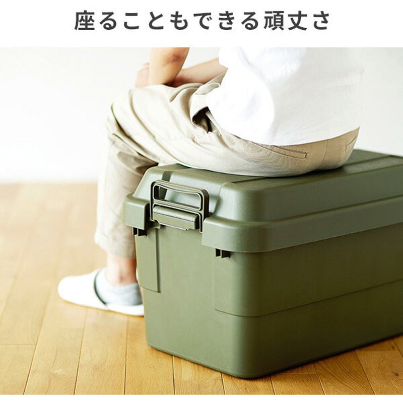 トランクカーゴ 座れる 収納ボックス リス グリーン色 1セット(2個