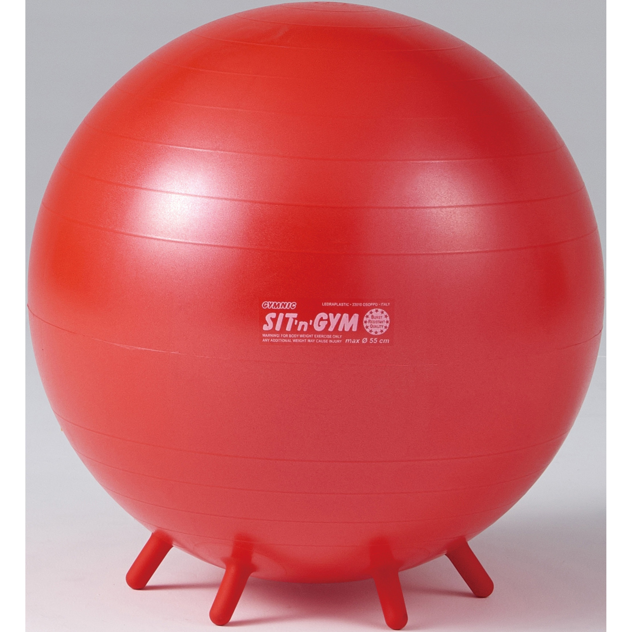 D5419 シッティングボールPLUS55  BRQ(破裂防止品質) DANNO(ダンノ) レッド色 PVC製 荷重300kg