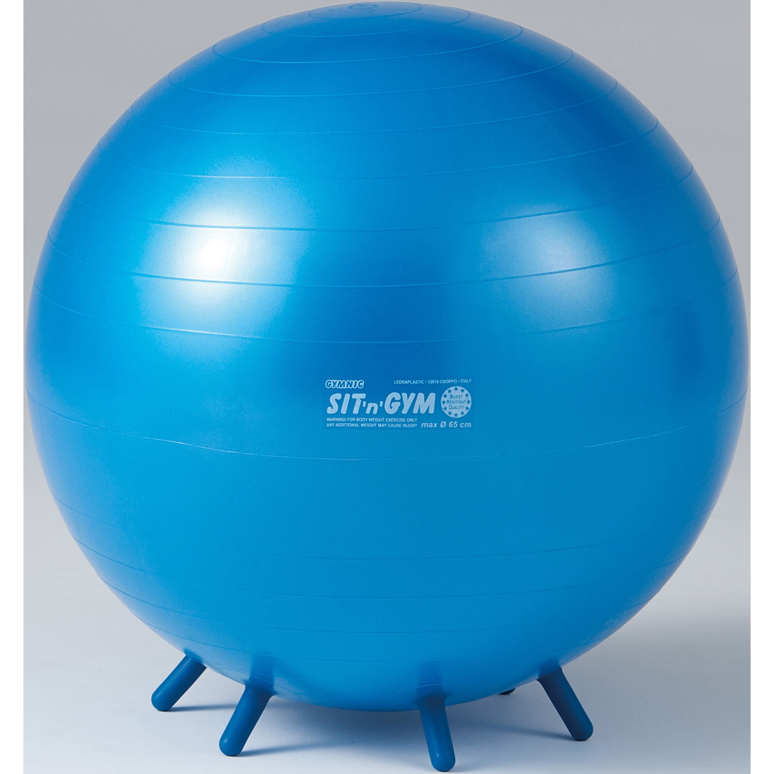 D5420 シッティングボールPLUS65  BRQ(破裂防止品質) DANNO(ダンノ) ブルー色 PVC製 荷重300kg