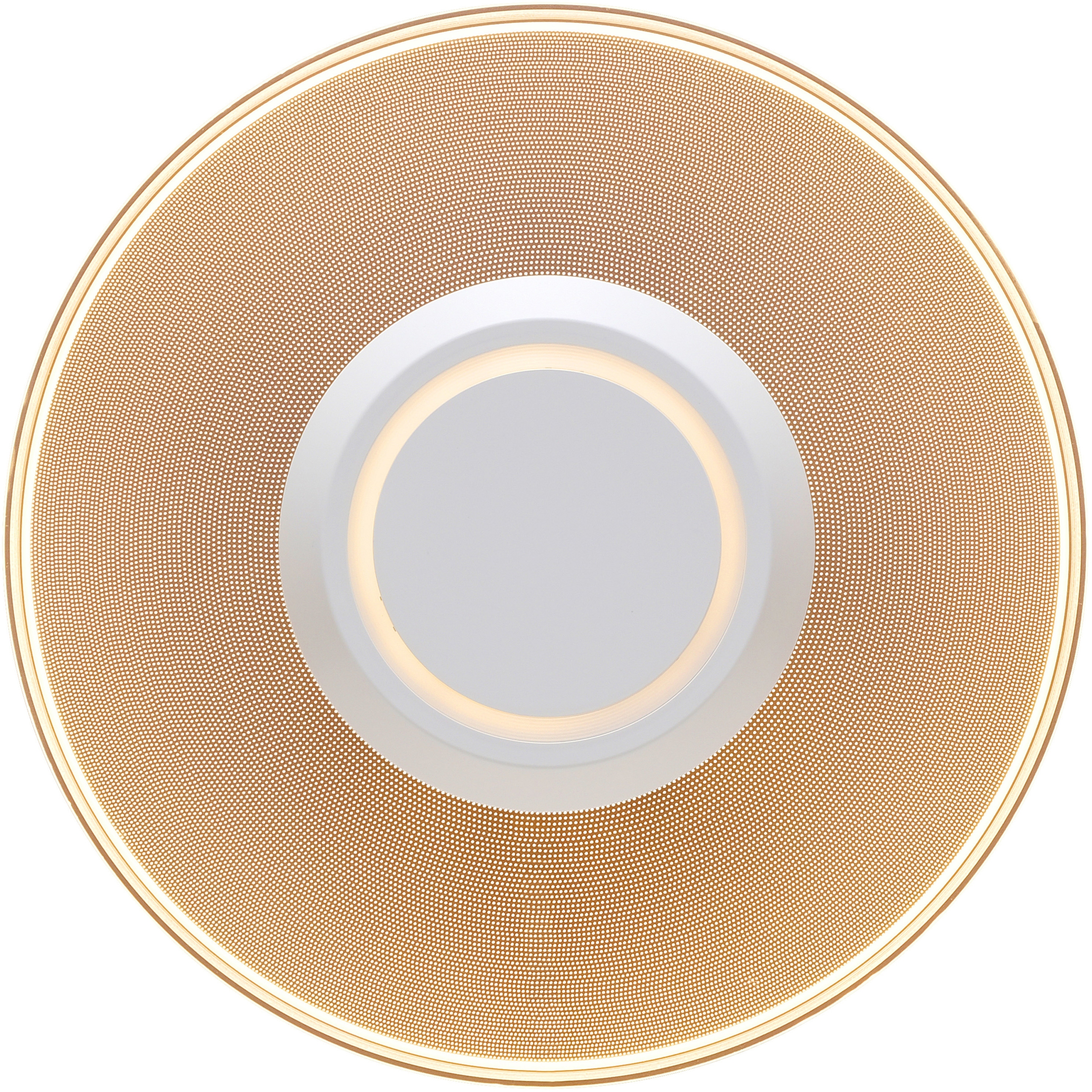 SCL-150L-LGP 小型シーリングライト 導光板【人感センサー有/無