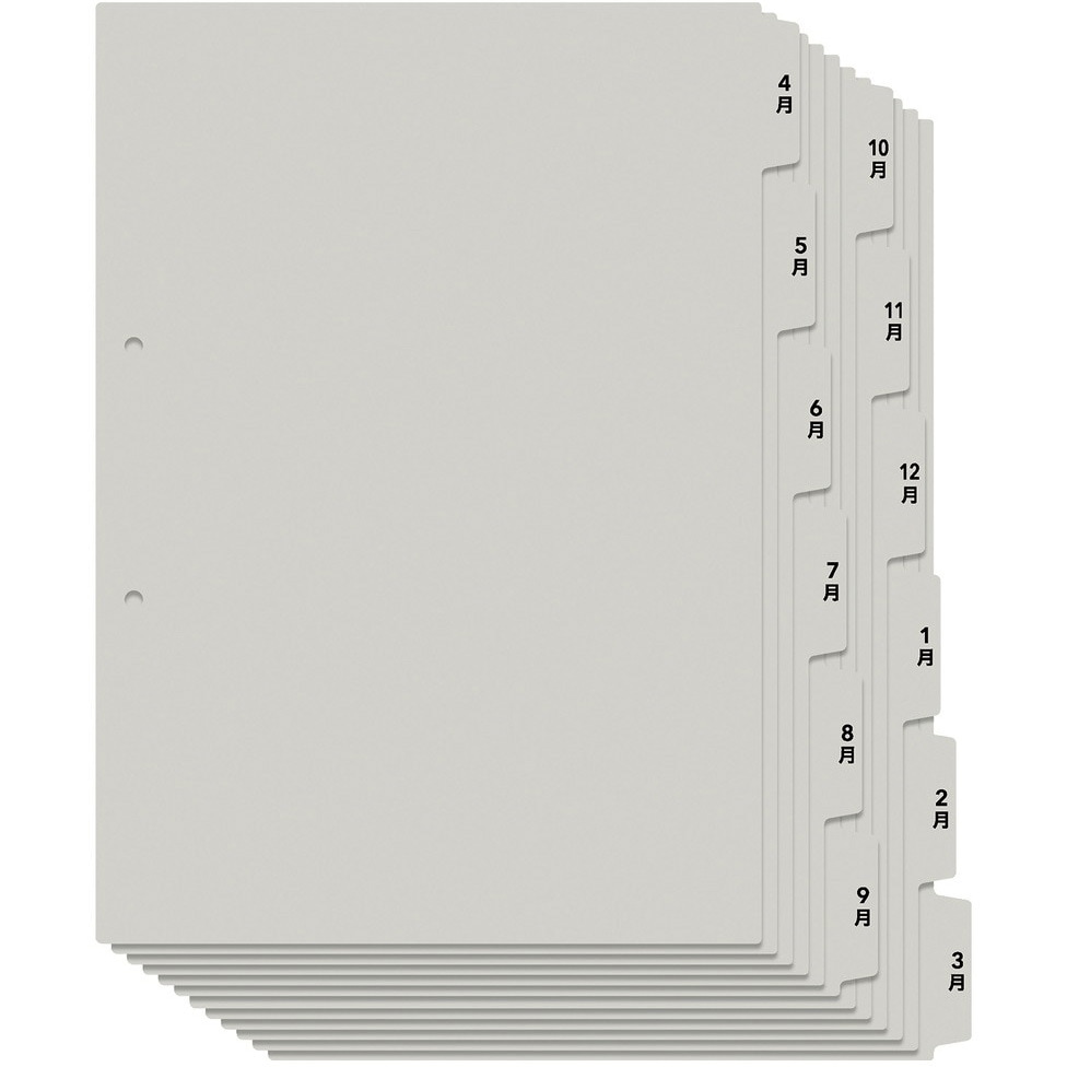 FL-809IS(98080) たすけあ インデックス PLUS(プラス)[文具] サイズA4