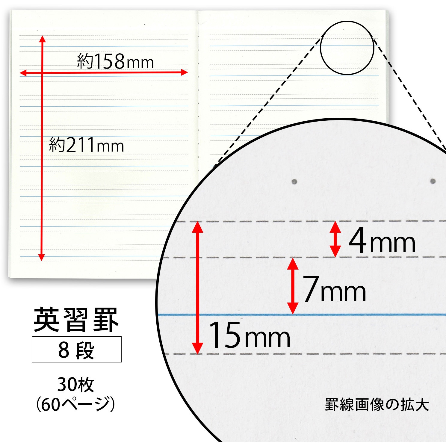 名作 日本ノート 小学生の英語ノート セミb5 英習罫8段 Lnf8 Materialworldblog Com