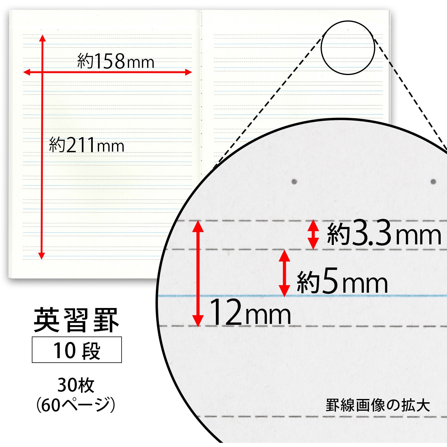LNF10 小学生の英語ノート 日本ノート 枚数30枚 糸綴じ セミB5