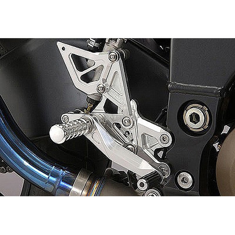 312-470-000 バックステップ [6P] AGRAS シルバー色 44,187円