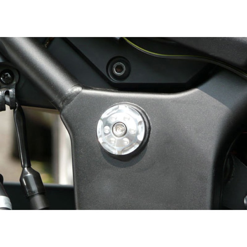 359-477-000S ピボットキャップ AGRAS シルバー色 Ninja250R [ニンジャ250R] 08-12用   359-477-000S