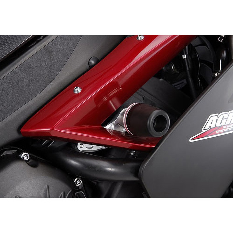 アグラス AGRAS レーシングスライダー フレーム ロゴ無し 16年-19年 ZX