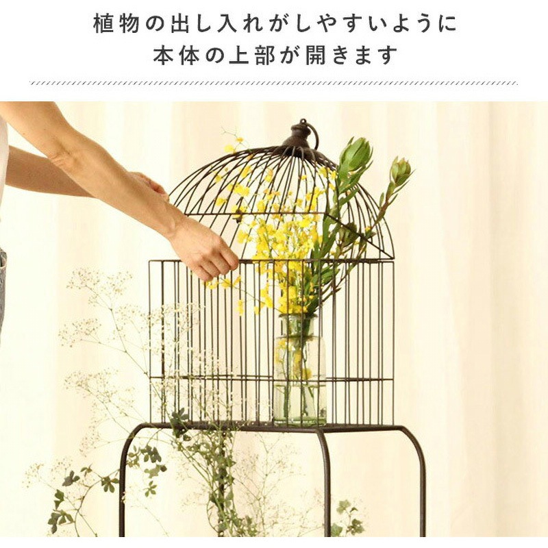 DTDS2280WH ディスプレイバードケージ 1個 スパイス 【通販