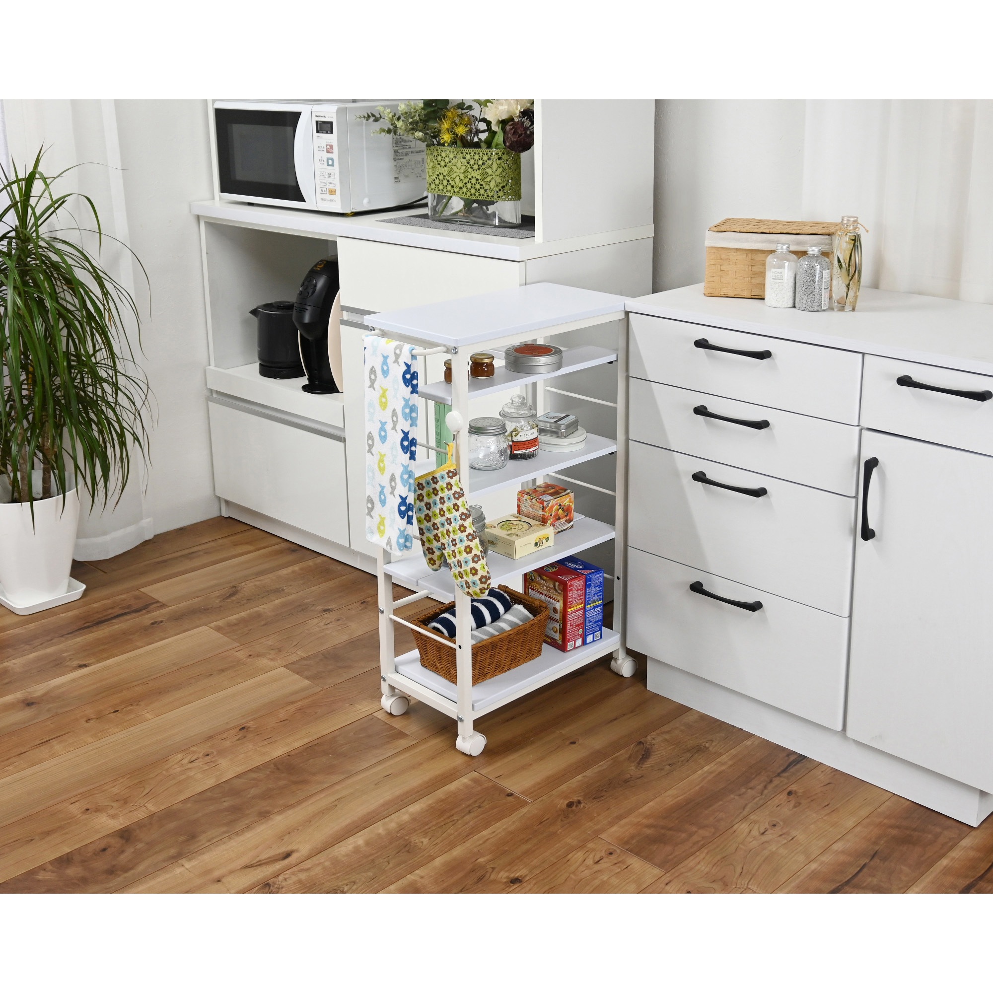 ア*ー様 ❤️開花株❤️ワサワサボリューム株❤️ 1127ふんわりボリュームSD ア*ー様 ❤️開花株❤️ワサワサボリューム株❤️ 1127ふんわり