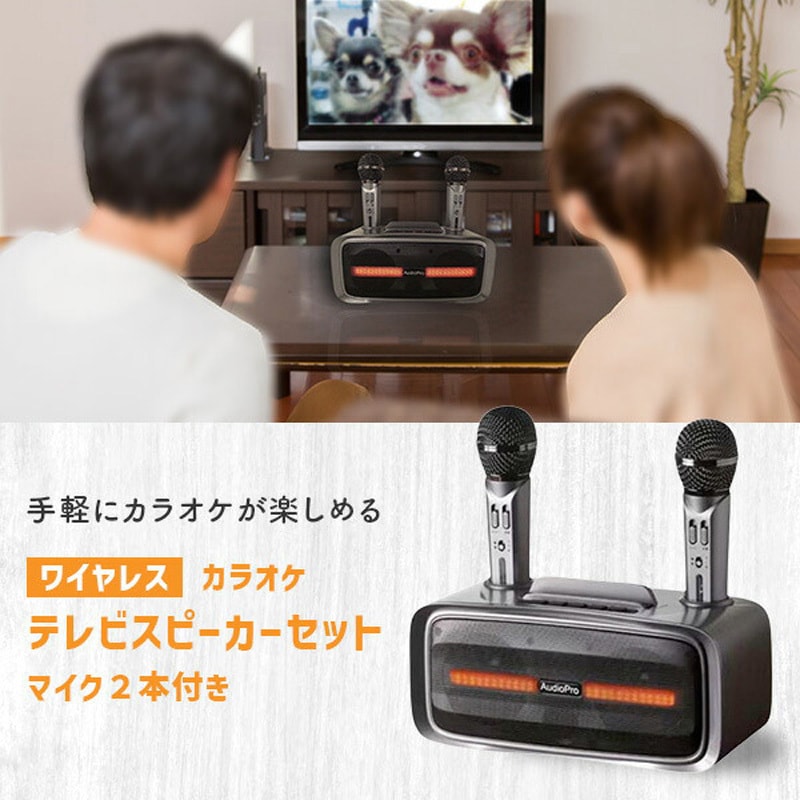 ST-2028BT ワイヤレスカラオケ テレビスピーカーセット マイク2本付き