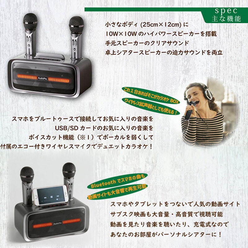 ST-2028BT ワイヤレスカラオケ テレビスピーカーセット マイク2本付き