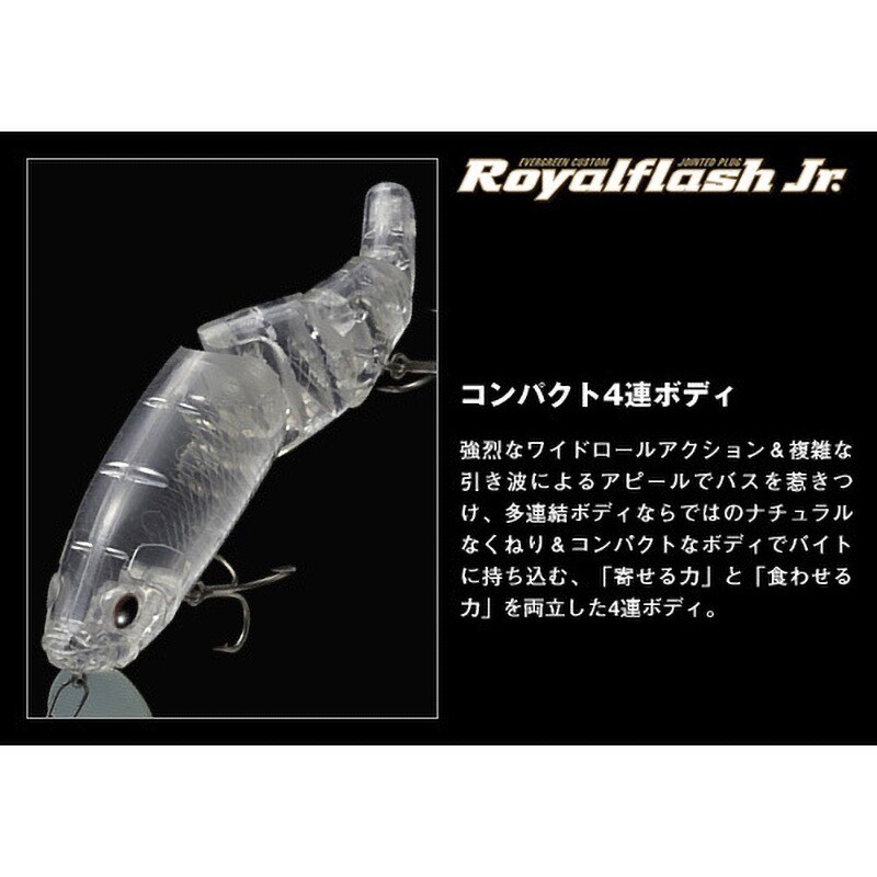 27アユ ロイヤルフラッシュJr. EverGreen INTERNATIONAL