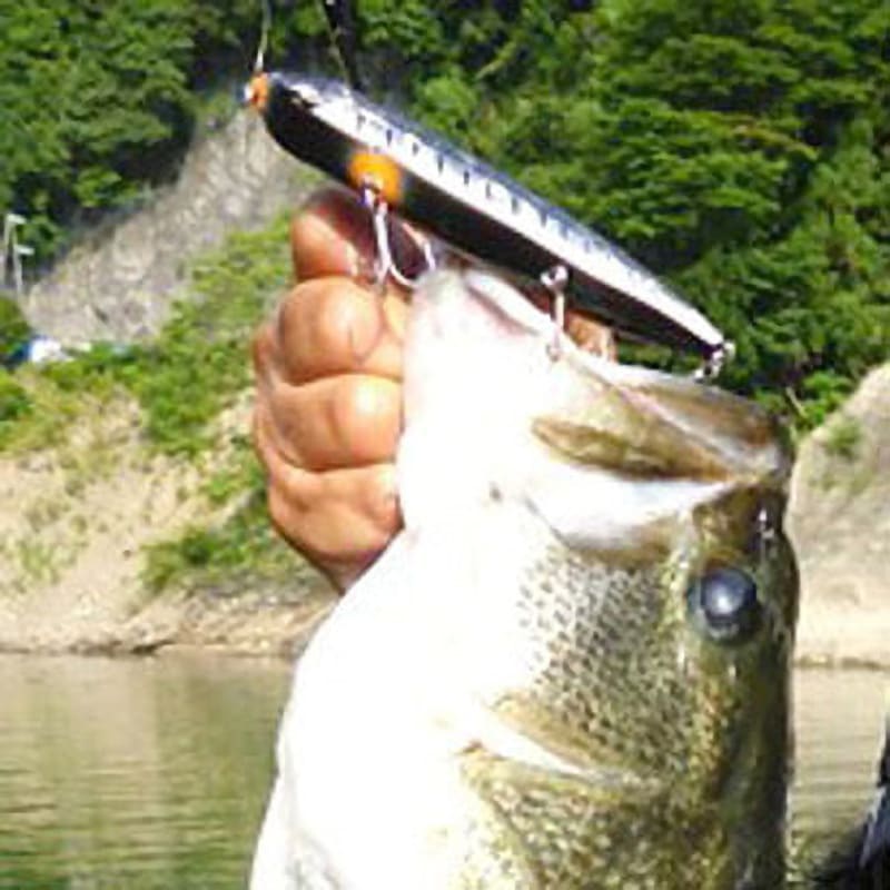 235サイトフラッシュ コンバットペンシルジャスティーン115 EverGreen