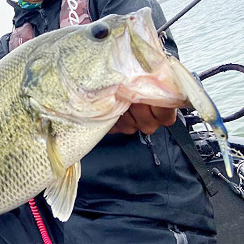 309フリッカーマットシルバー キッカーイーター EverGreen