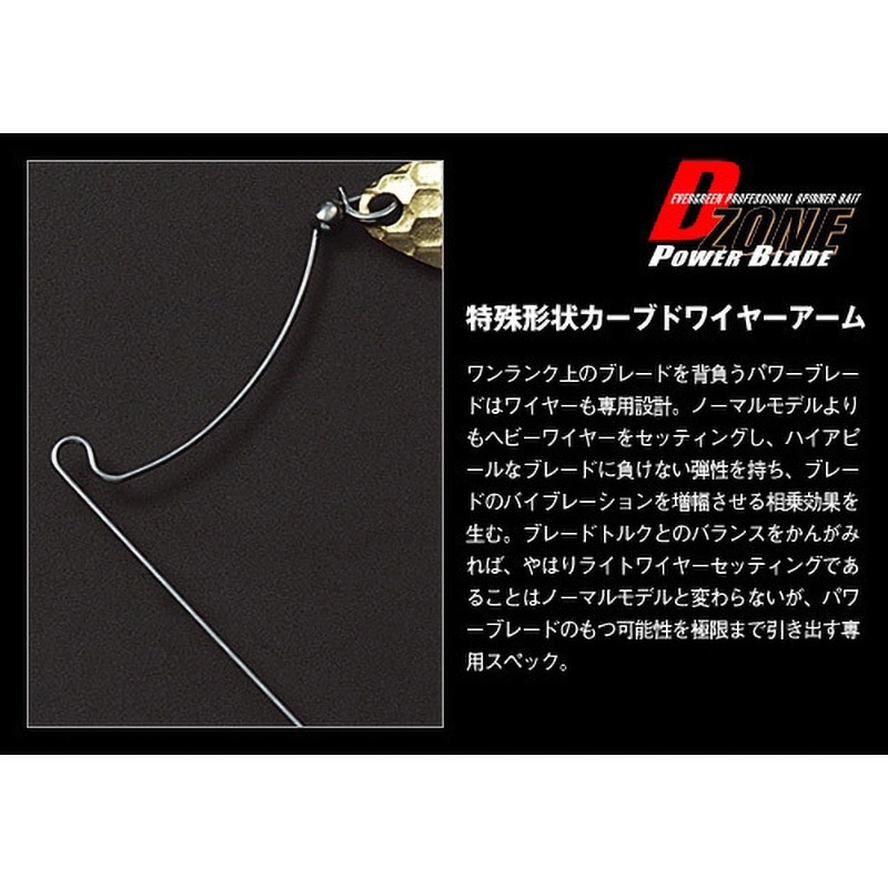 D-ゾーン EVERGREEN（エバーグリーン インターナショナル） - Dゾーン