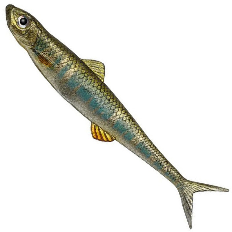 55オイカワ ラストエースF(フローティング)110F EverGreen