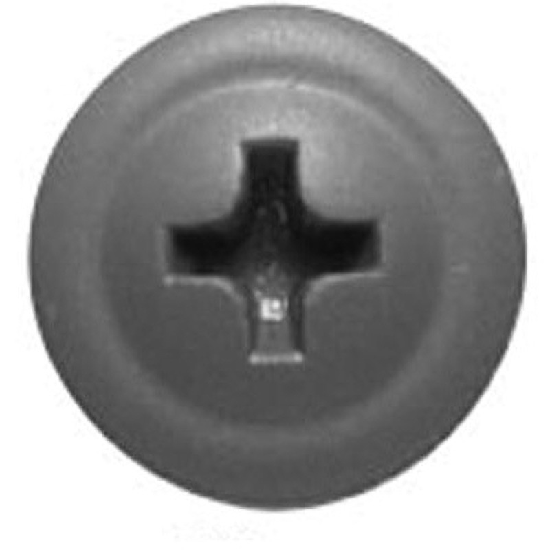 62413WN ダンバ シンワッシャー 頭部着色 袋入 若井産業 鉄製 (ねじ)三価ユニクロ ねじ径4mm全長13mm 1箱(100本×5袋) 62413WN