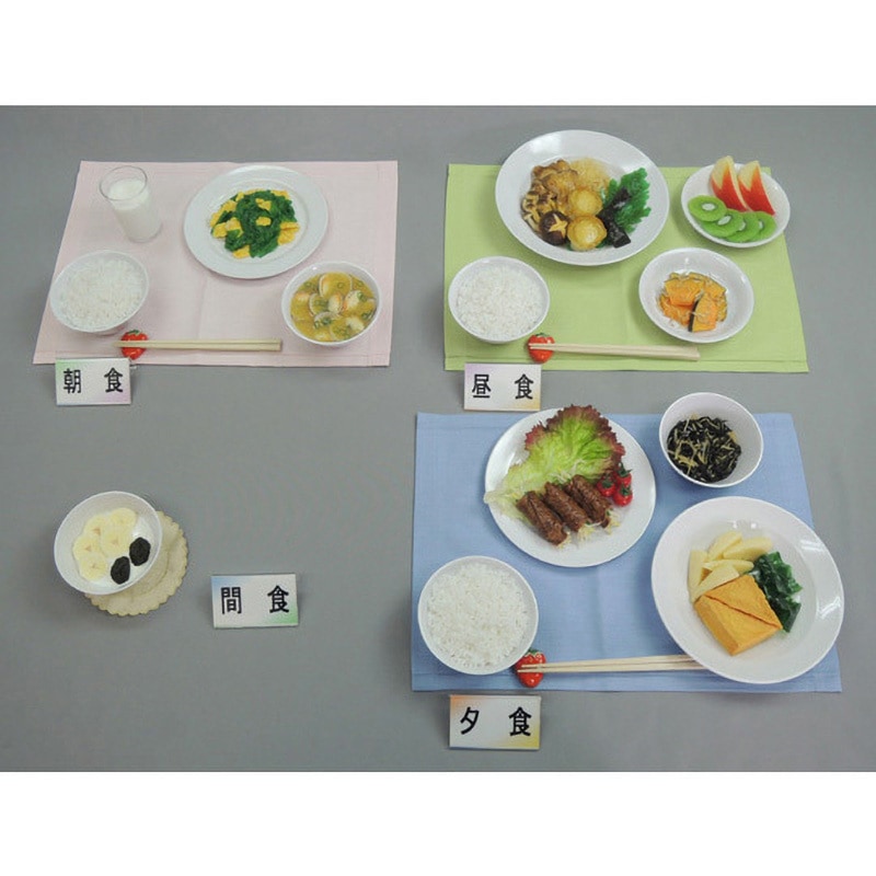 41-1 妊婦食 献立 41シリーズ 1セット イワイサンプル 【通販モノタロウ】