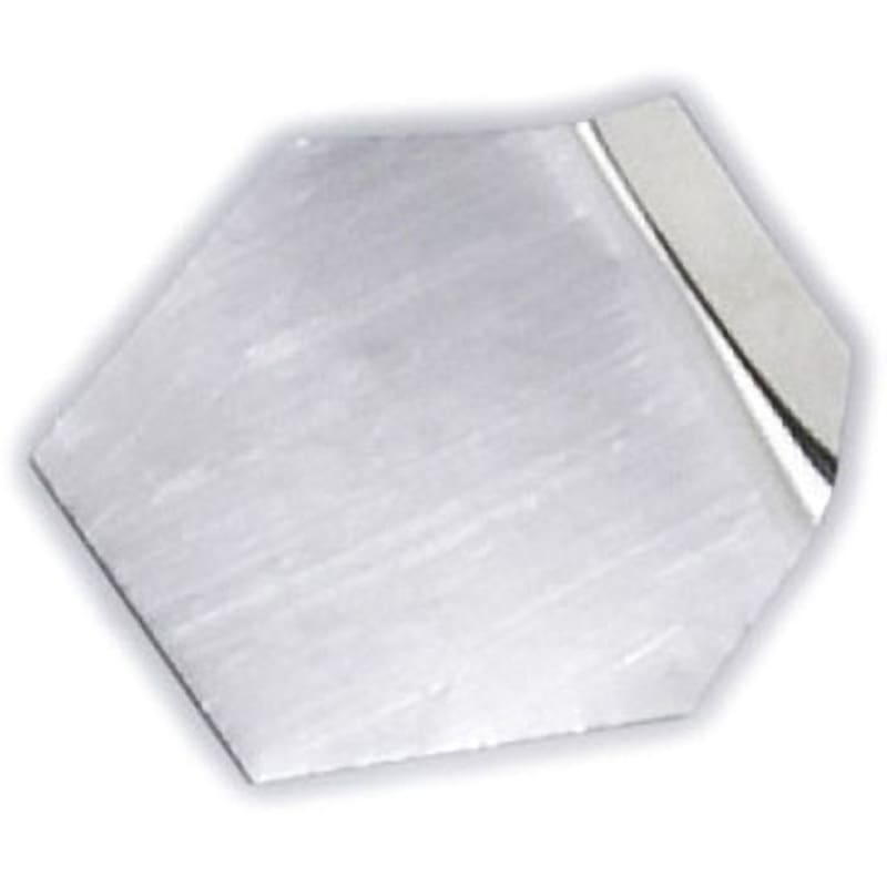 F2PSB-5M-JC2 JCSS校正付 基準分銅型板状分銅 F2級 非磁性ステンレス VIBRA(新光電子) JCSS校正