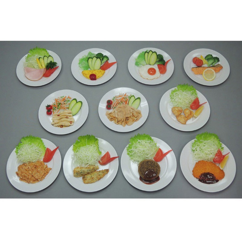 21 糖尿病フリーチョイス「主菜1」 21シリーズ 1セット イワイサンプル 【通販モノタロウ】