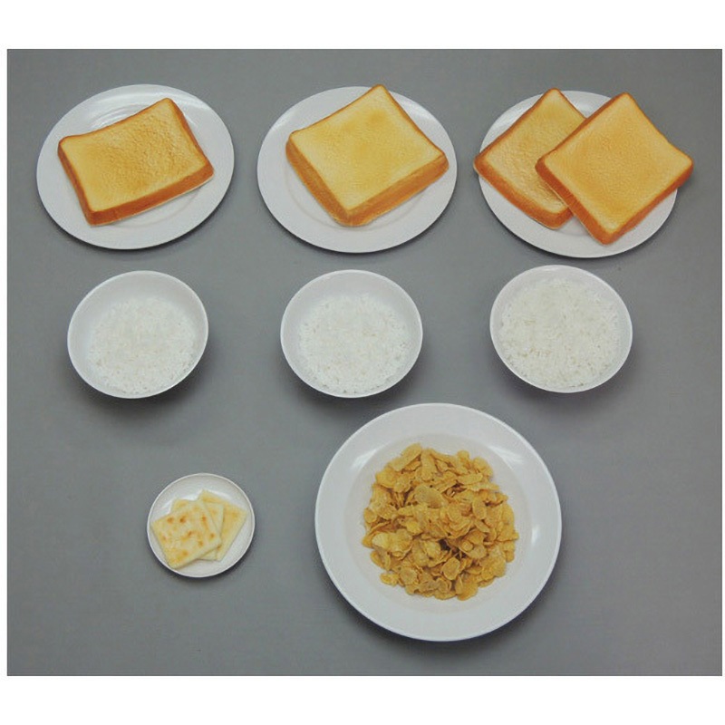 19 糖尿病フリーチョイス「主食1」 19シリーズ 1セット イワイサンプル 【通販モノタロウ】