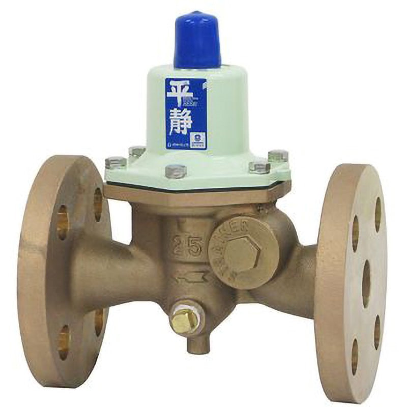 RD32FN-FL 減圧弁 RD-32FN型(1.6MPa、フランジ) ベン 水・温水用 直動式(小・中容量) 0.3～0.7MPa 呼び径(B)2