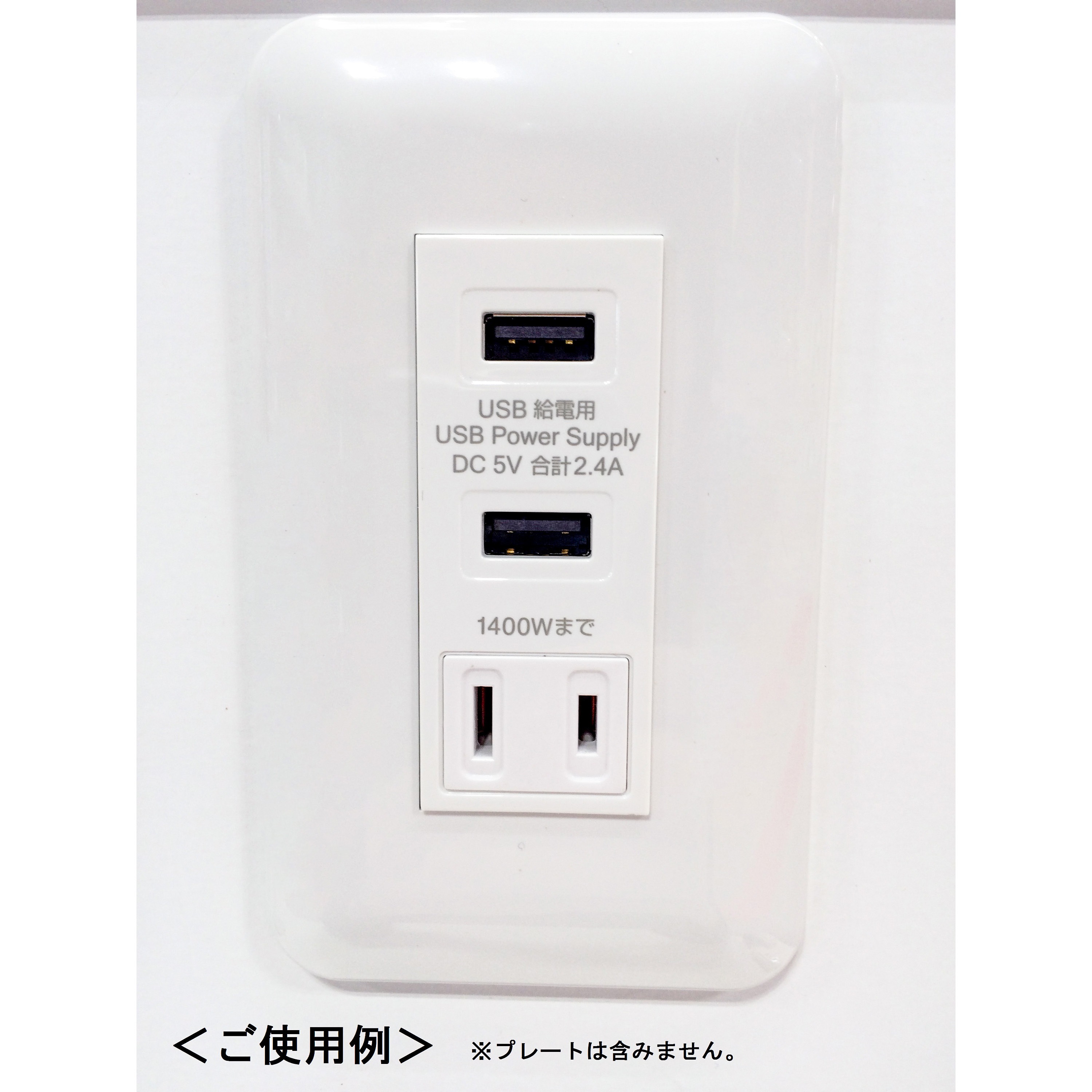 USB-R3702W 埋込USB+AC給電コンセント 1個 TERADA(寺田電機