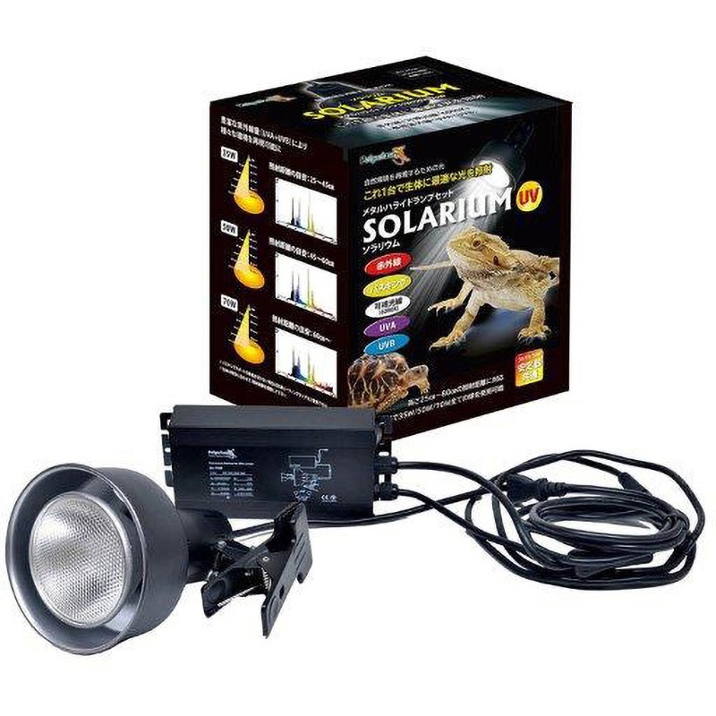 ソラリウム ゼンスイ 幅195mm奥行160mm高さ260mm