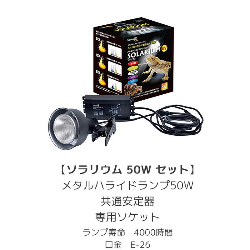 ソラリウム ゼンスイ 幅195mm奥行160mm高さ260mm - 【通販 ソラリウム ゼンスイ 幅195mm奥行160mm高さ260mm - 【通販