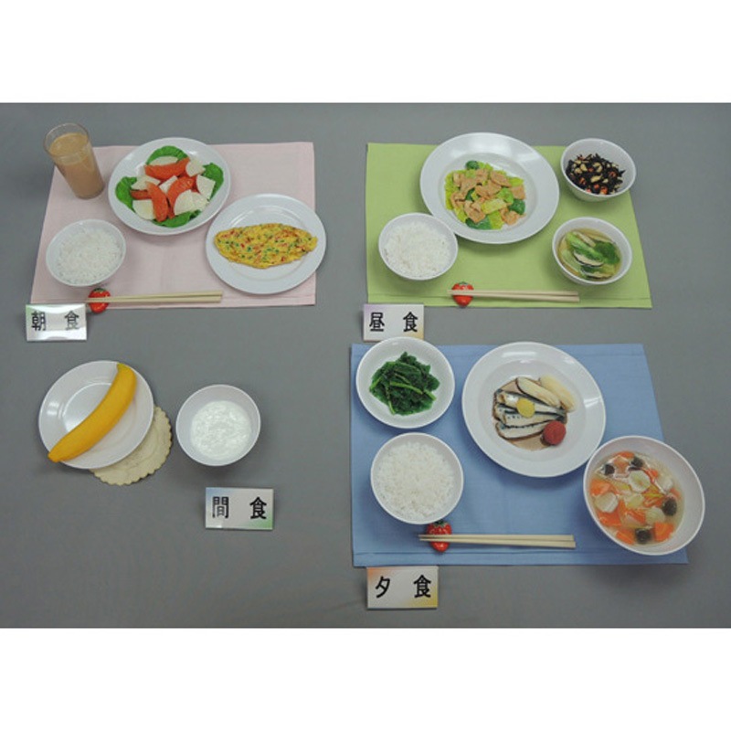 58-A 健康な高齢者の献立 1800kcal 58シリーズ 1セット イワイサンプル 【通販モノタロウ】