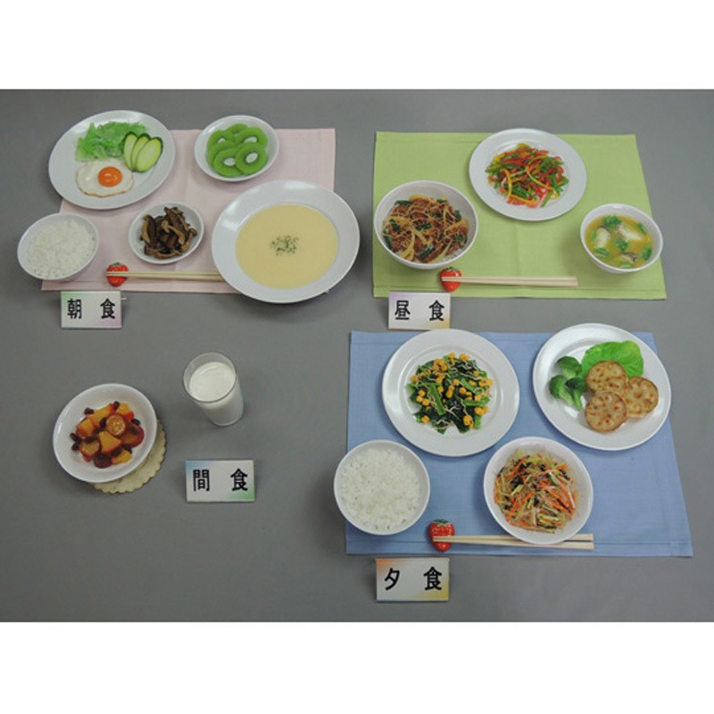 42 授乳婦食 献立 42シリーズ 1セット イワイサンプル 【通販モノタロウ】