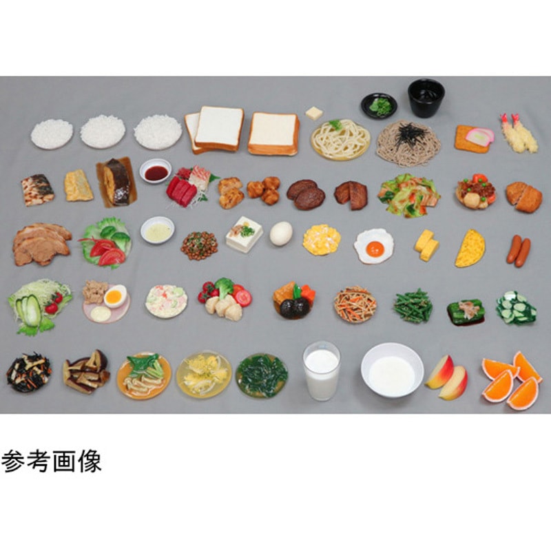 SKM-46 食品交換表に基づいた調理交換モデル SKMシリーズ(1～50) 1個 イワイサンプル 【通販モノタロウ】 5,185円