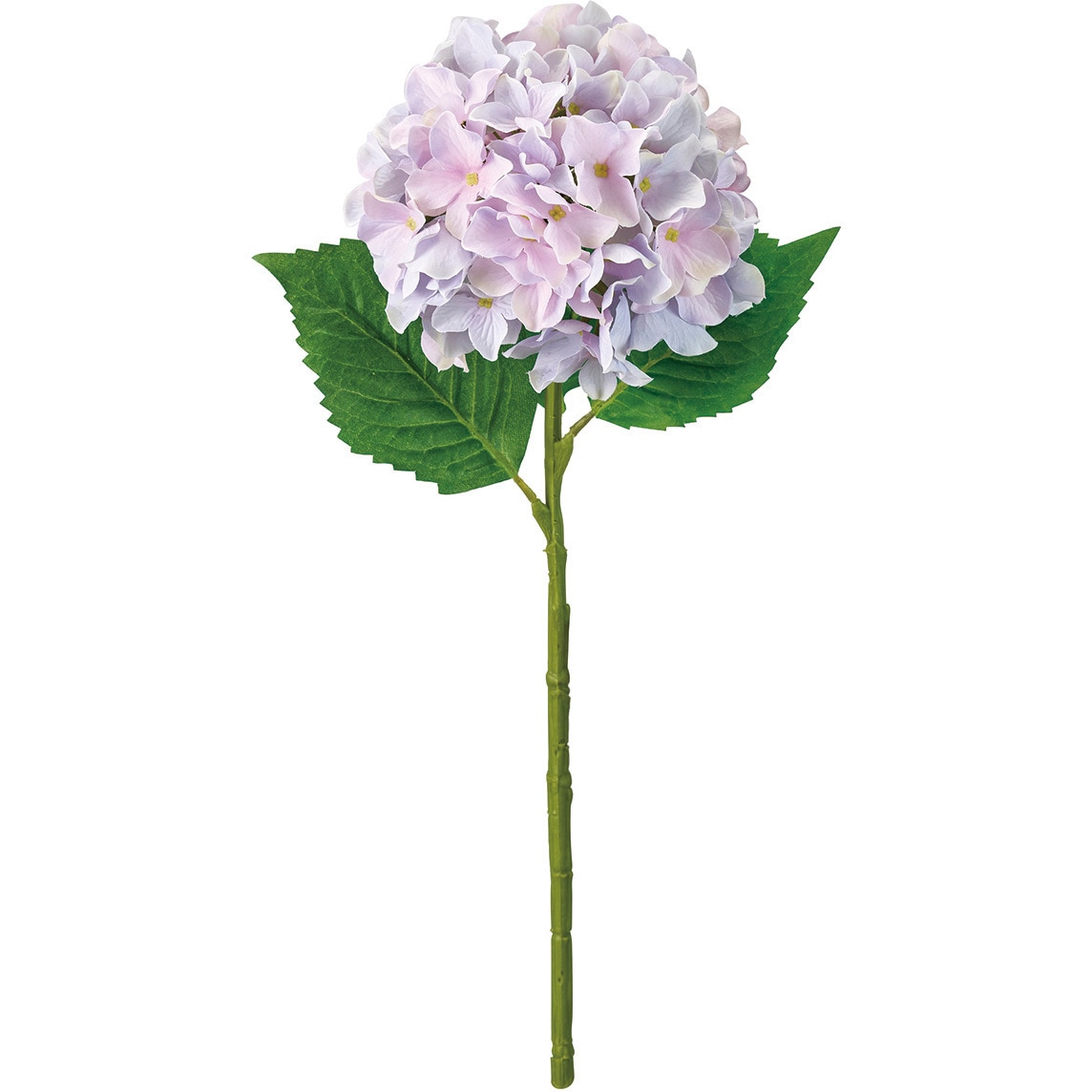 made-to-order一草一花ページ Watanabe Seitei Floral Pattern Bijutsu Sekai Vintage