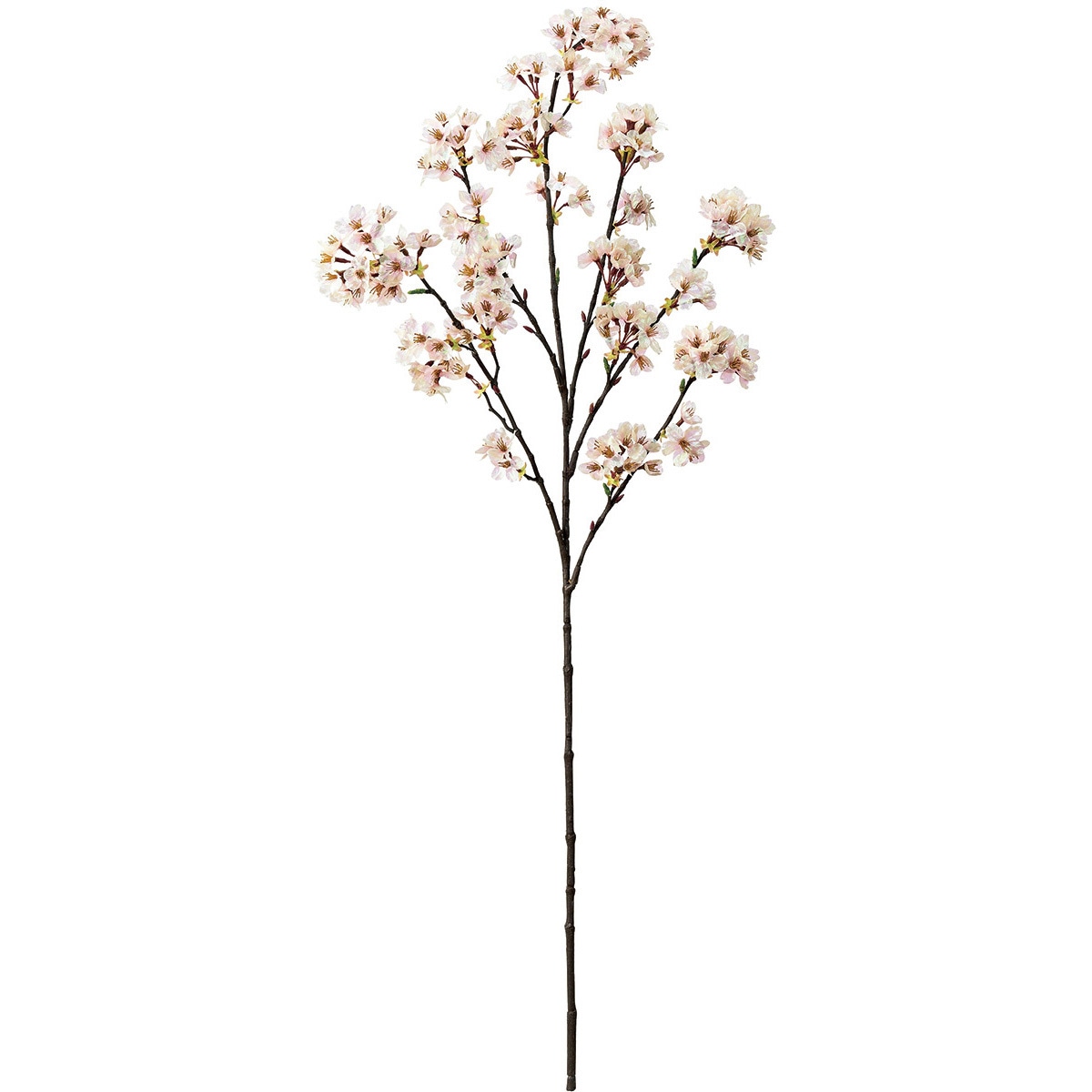 FM004396 月夜の桜 1本 東京堂 【通販モノタロウ】