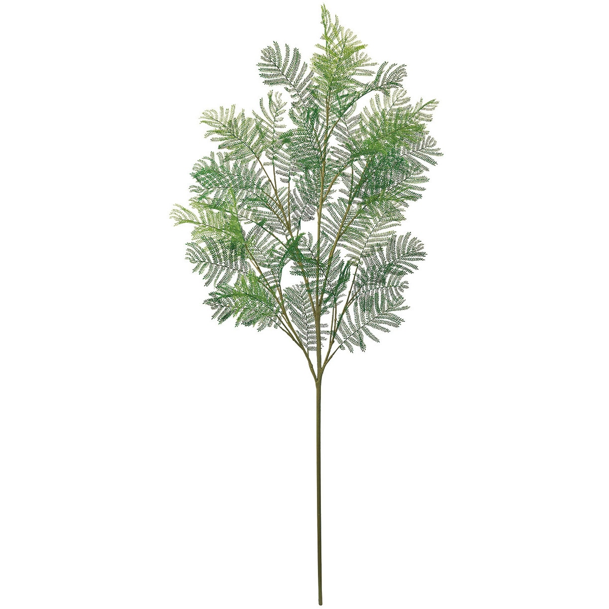 FG302308 エバーフレッシュ大枝 東京堂 花葉付き枝もの