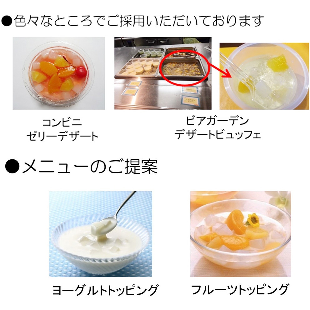 フジッコ 業務用 国内産ナタデココ 500g 1箱(500g×10個