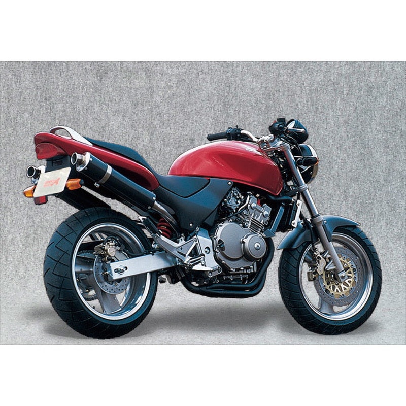 10253-02NCN HORNET250 SPEC-A SLIP-ON TWIN カーボン JMCAプレート