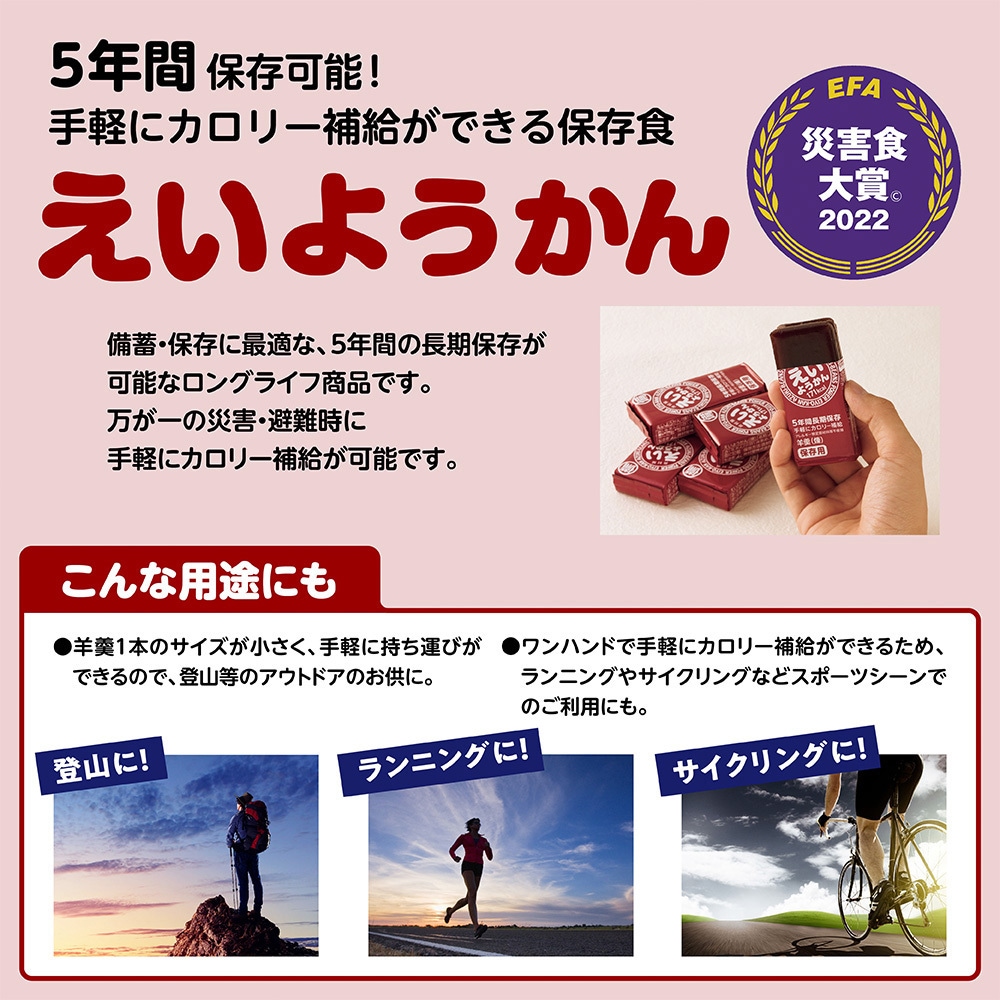 井村屋 12本入えいようかん 720g(60g×12本) 1箱(720g×2個) 井村