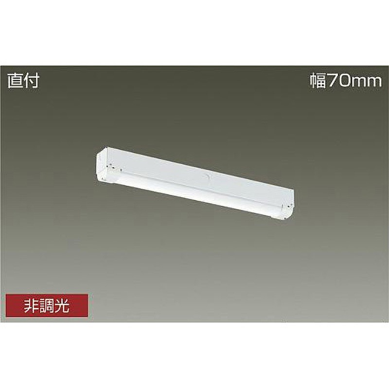 LZW-93068XWE ベースライト/長形BL/軒下用・防雨形本体 DAIKO(大光電機