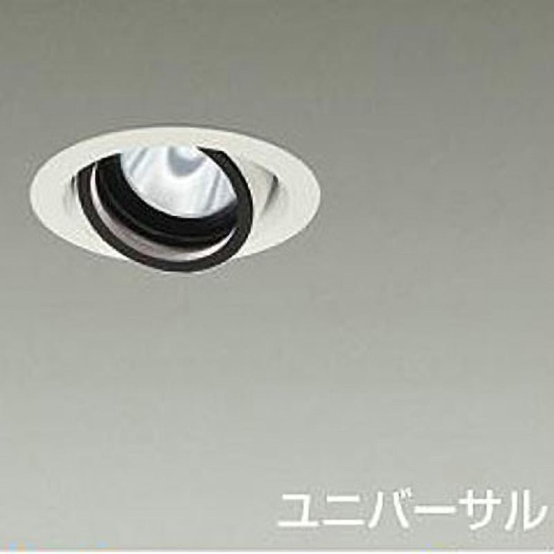 LZD-93629LWN ダウンライト/ユニバーサル/Φ75/800クラス/Φ50ダイクロハロゲン75W形65W相当/高演色Ra93/電源別売 1台 DAIKO(大光電機) 【通販モノタロウ】