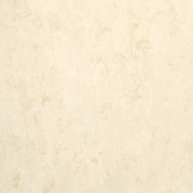 FPT2061 床タイル フェイソールプルス 東リ 1ケース(14枚) FPT2061