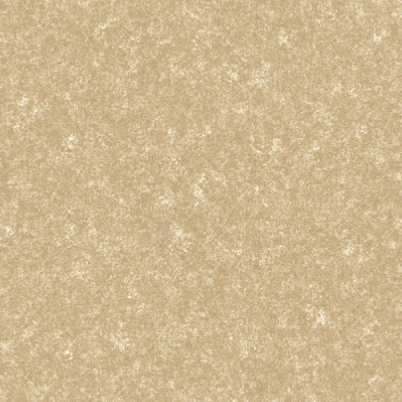 TTN1111 置敷きタイル ルースレイタイル LLフリー40NW-EX クラウド 東リ 1ケース(12枚) TTN1111