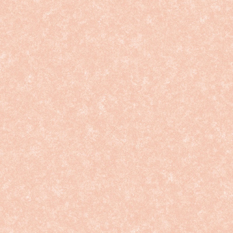 TTN1124 置敷きタイル ルースレイタイル LLフリー40NW-EX クラウド 東リ 1ケース(12枚) TTN1124