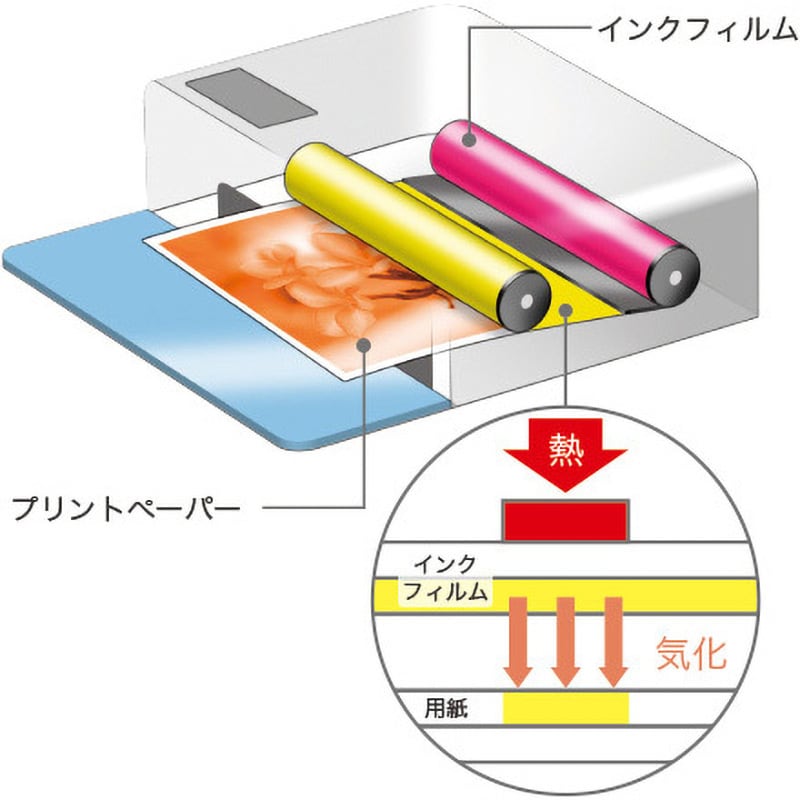 QX10 WH フォトプリンター セルフィー スクエア QX10 1個 Canon QX10 WH フォトプリンター セルフィー スクエア QX10 1個 Canon