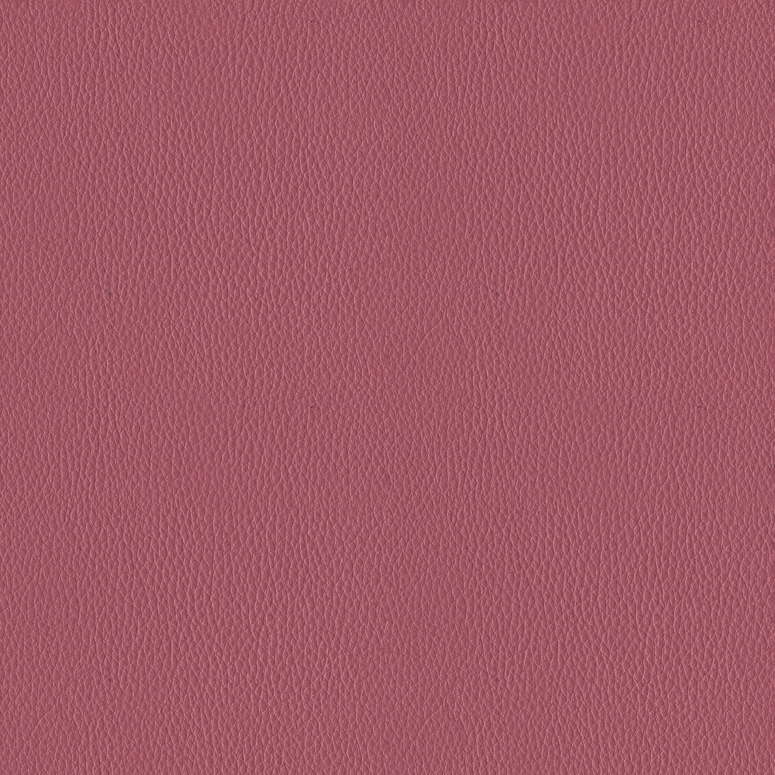 会議イス　１００シリーズ　キャスター付き CK-M100CVZ94-VN 20007793 全国配送可 コクヨ kokuyo CK-100VZ24送料無料 | コクヨ 会議用イス100通販 -