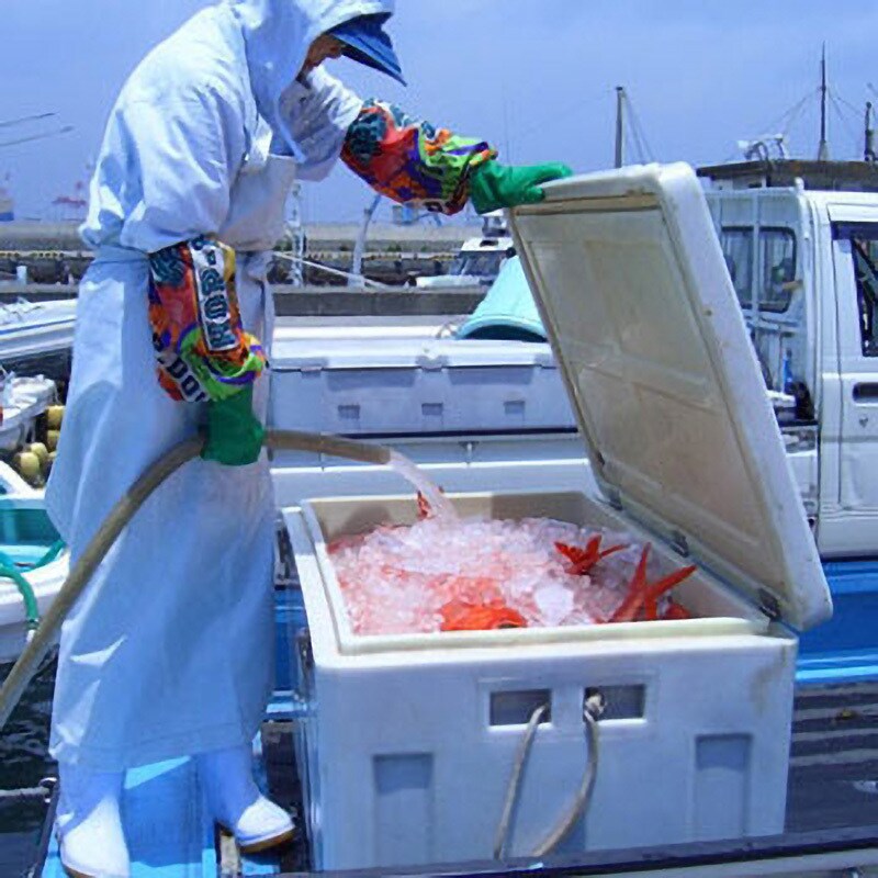 【ネット限定】 COOLBOX90 クールボックス ダイライト 容量90L COOLBOX90 70L～