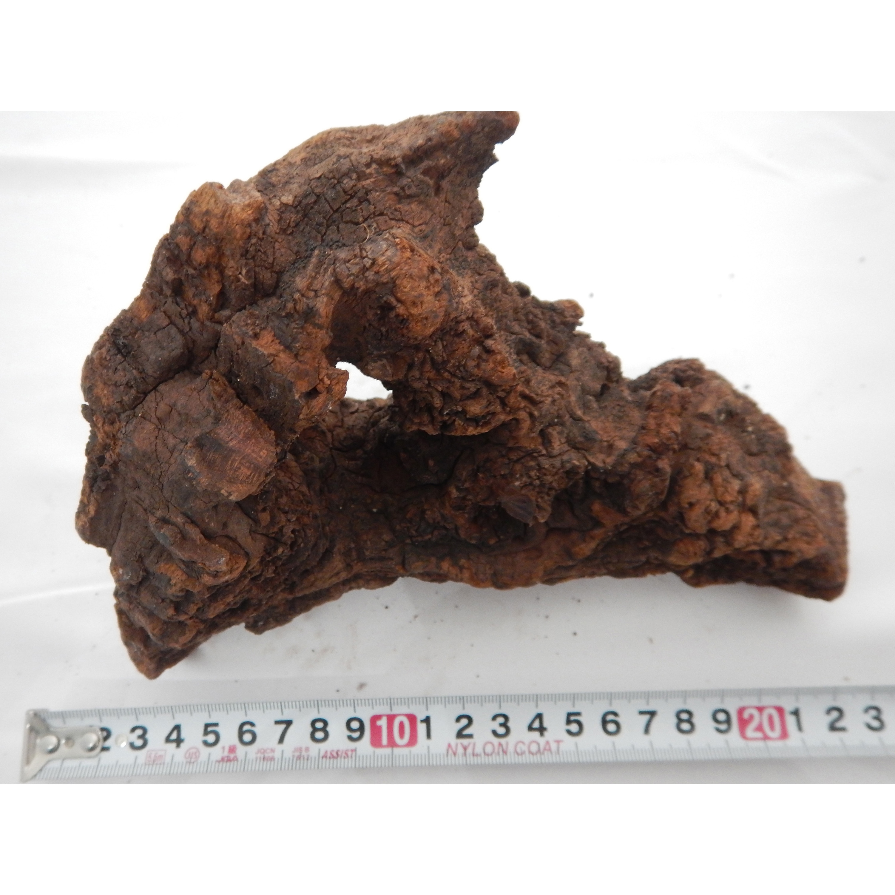 アク抜き流木 やまと錦魚園 実験関連品 【通販モノタロウ】